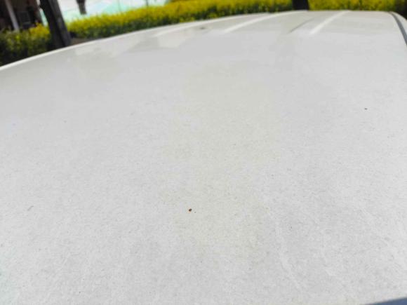 [常州·苏E] 二手荣威荣威Ei52019款 舒适版