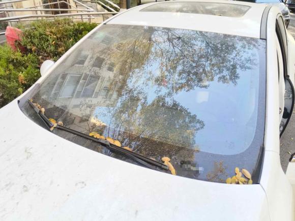 [上海·苏F] 二手比亚迪秦PLUS2021款 DM-i 55KM 旗舰型