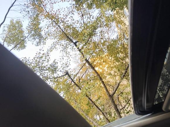 [上海·沪D] 二手英菲尼迪英菲尼迪Q502014款 2.0T 舒适版