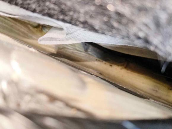 [深圳·豫S] 二手日产轩逸2019款 经典 1.6XL CVT豪华版