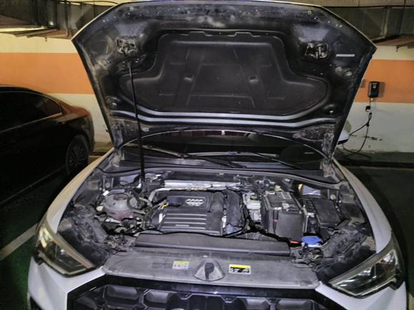 [合肥·皖A] 二手奥迪奥迪Q32021款 35 TFSI 进享人生版