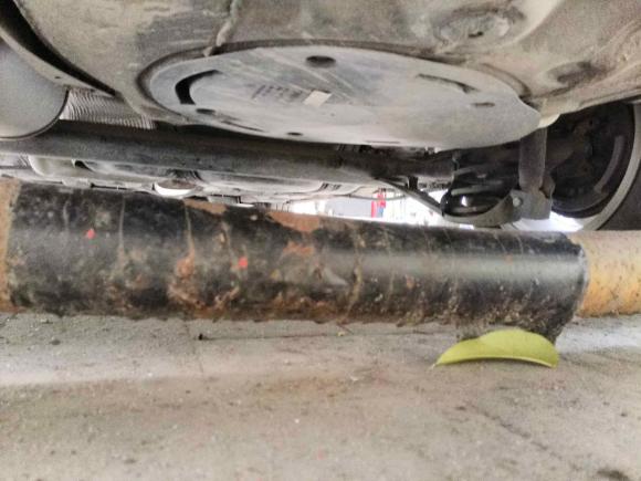 [上海·沪C] 二手斯柯达昕动2019款 改款 1.5L 自动舒适版 国VI