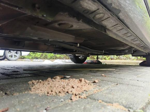 [宁波·浙B] 二手丰田卡罗拉2017款 1.2T CVT GL-i