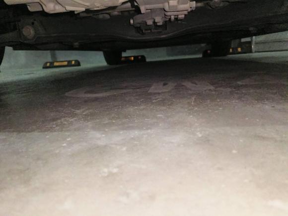 [嘉兴·浙F] 二手欧拉欧拉黑猫2022款 改款 301km 萌宠版 磷酸铁锂