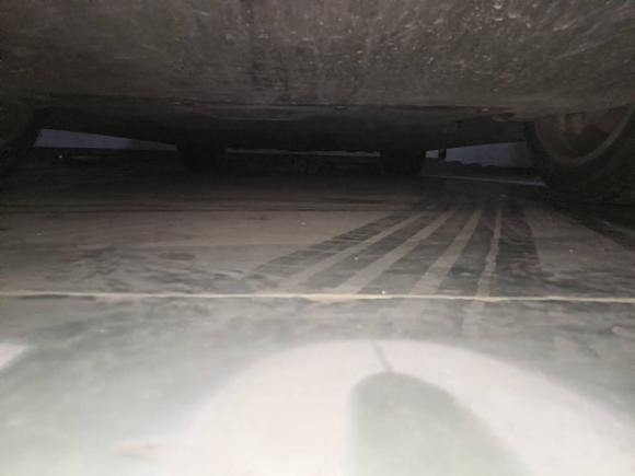 [合肥·皖A] 二手特斯拉Model Y2021款 标准续航后驱版