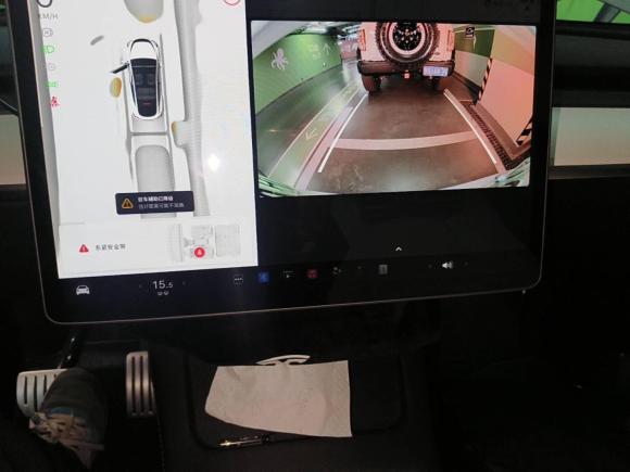 [上海·沪A] 二手特斯拉Model Y2022款 Performance高性能全轮驱动版