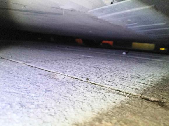 [深圳·粤B] 二手小鹏小鹏P72020款 670E