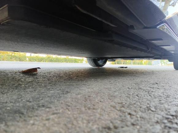 [青岛·鲁B] 二手比亚迪海豚2023款 50万纪念版Plus