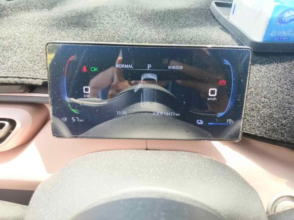 [上海·苏F] 二手比亚迪海鸥2024款 荣耀版 305km 自由版