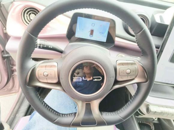 [广州·粤A] 二手比亚迪海豚2023款 420km 时尚版