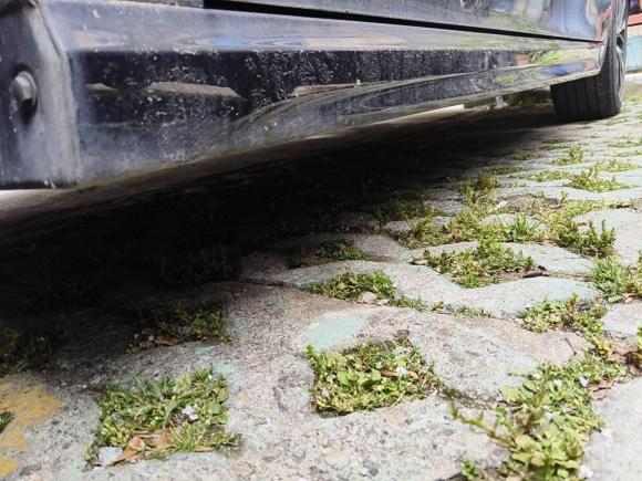 [上海·沪B] 二手丰田凯美瑞2019款 2.5S 锋尚版 国VI