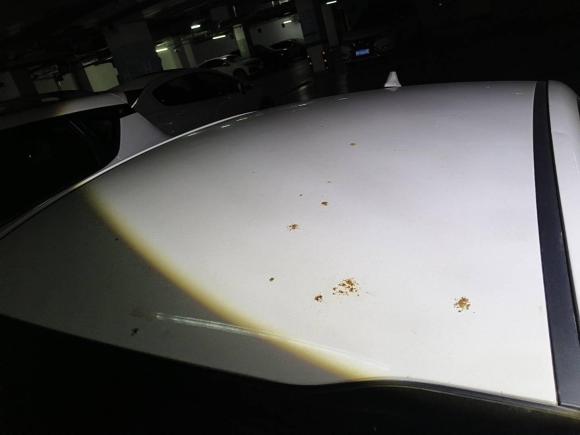 [成都·川A] 二手起亚福瑞迪2019款 1.6L 自动风尚版 国V