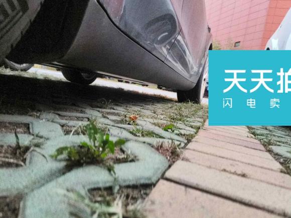 [青岛·鲁B] 二手特斯拉Model Y2022款 改款 后轮驱动版