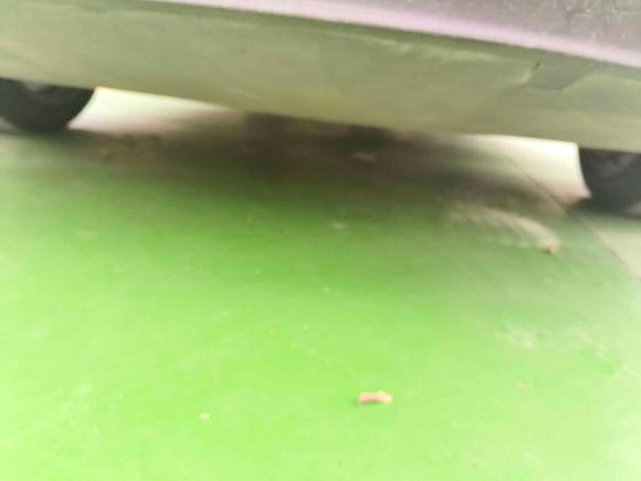 [南京·苏L] 二手特斯拉Model 32022款 后轮驱动版