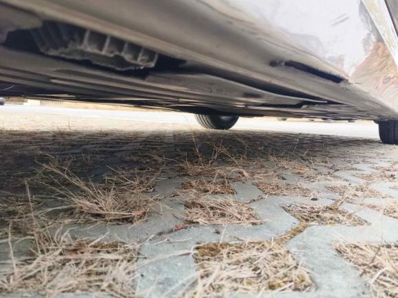 [南京·苏A] 二手宝马宝马3系2016款 320Li 时尚型