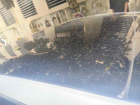 [深圳·粤B] 二手小鹏小鹏P72020款 586N