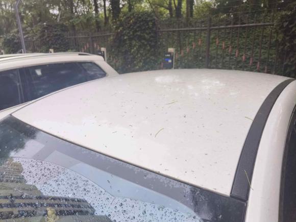 [上海·皖N] 二手比亚迪驱逐舰052023款 冠军版 DM-i 55KM 豪华型