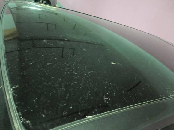 [广州·粤E] 二手长安欧尚长安欧尚X7 PLUS2022款 1.5T 蓝鲸版自动尊享型 7座