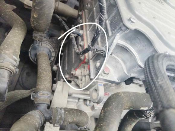 [宁波·浙B] 二手比亚迪秦PLUS2023款 EV 510KM 出行版