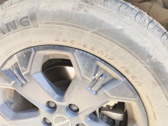 [嘉兴·浙F] 二手吉利雷达雷达地平线2023款 410km 创业版