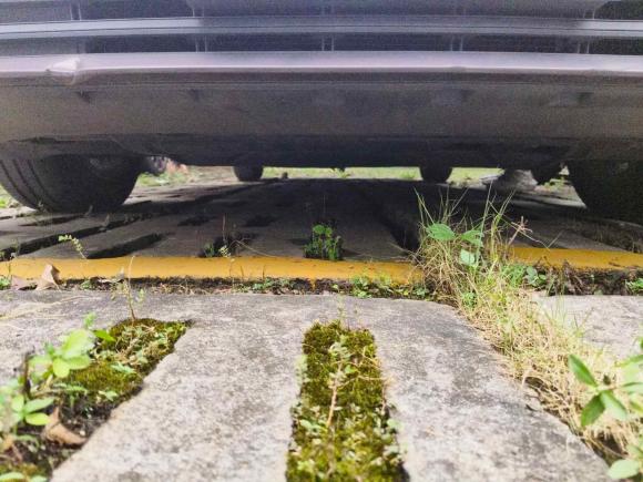 [广州·粤G] 二手大众朗逸2019款 1.5L 自动风尚版 国VI