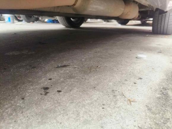 [上海·沪A] 二手比亚迪唐新能源2015款 2.0T 四驱旗舰型