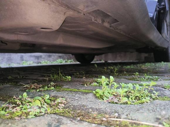 [武汉·鄂A] 二手雪佛兰沃兰多2018款 530T 自动劲享版（5+2款） 国V