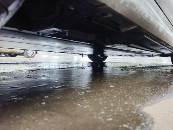 [南昌·赣A] 二手比亚迪秦PLUS2021款 EV 500KM 豪华型