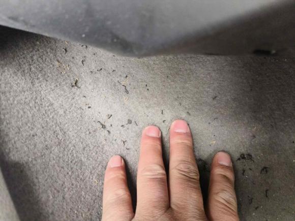 [常州·苏C] 二手福特福克斯2017款 三厢 1.6L 手动舒适型智行版