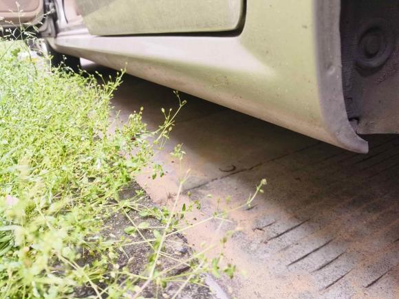 [上海·皖P] 二手别克凯越2013款 1.5L 自动经典型