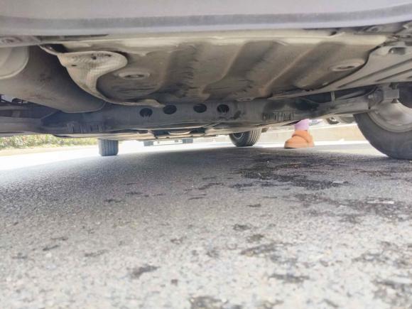 [义乌·浙G] 二手大众Polo2021款 Plus 1.5L 自动炫彩科技版