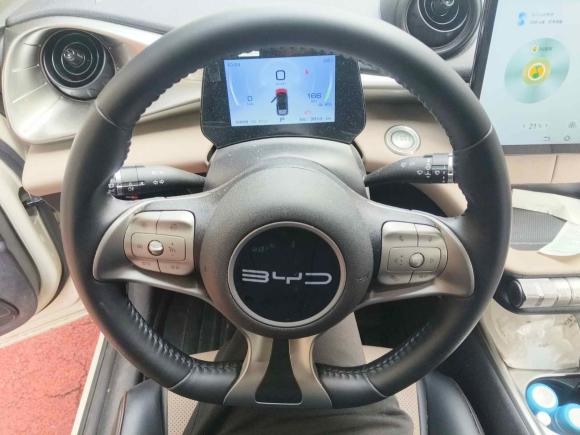 [上海·沪A] 二手比亚迪海豚2023款 420km 时尚版