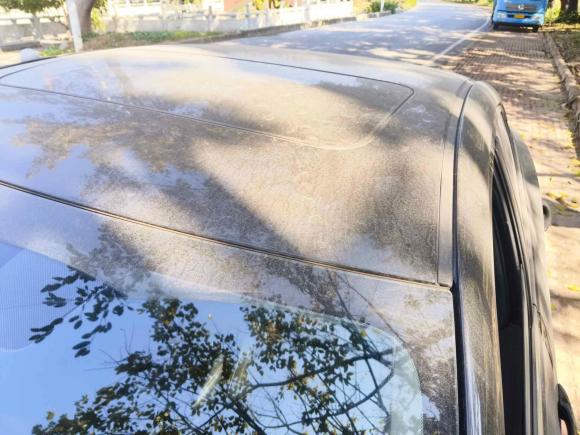 [佛山·粤E] 二手日产轩逸2021款 1.6L XL CVT智享版