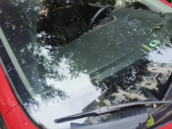 [成都·川A] 二手本田锋范2015款 1.5L 手动舒适版