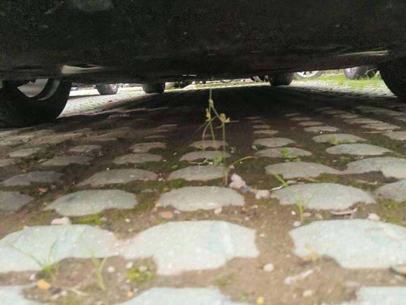 [嘉兴·鄂A] 二手丰田凯美瑞2018款 2.0S 锋尚版