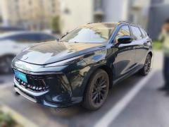 [上海·沪A] 东风风行风行T5 EVO2021款 1.5TD DCT铂金版