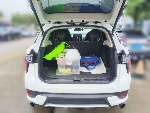 [上海·沪A] 二手领克领克01 EM-P2019款 1.5T PHEV 劲Pro 国VI