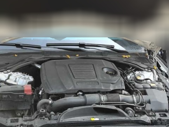 [成都·川A] 二手捷豹捷豹XEL2020款 2.0T 200PS R-DYNAMIC S进取运动版