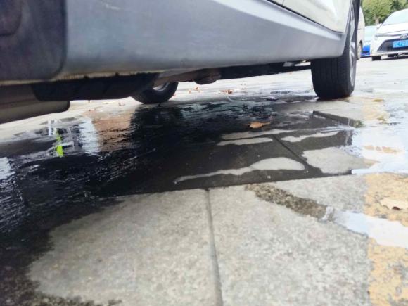 [上海·沪F] 二手起亚智跑2018款 2.0L 自动智享豪华版 国V