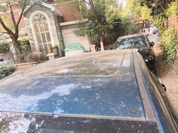 [南京·苏A] 二手欧拉欧拉好猫2021款 400km标准续航 维纳斯版 磷酸铁锂