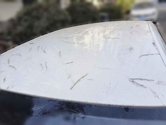 [西安·陕A] 二手大众朗逸2019款 朗逸启航 1.5L 自动风尚版 国VI