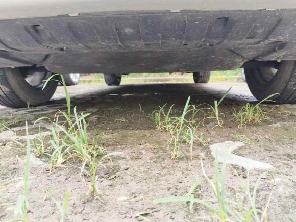 [上海·沪B] 二手三菱欧蓝德2018款 2.4L 四驱豪华版 7座