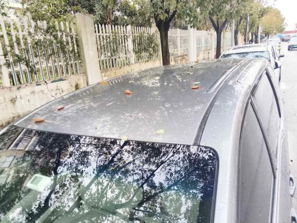 [上海·沪H] 二手别克别克GL82022款 陆上公务舱 652T 舒适型