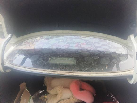 [武汉·鄂A] 二手日产轩逸2016款 1.6XV CVT智享版