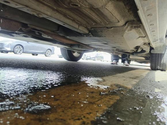 [深圳·湘E] 二手日产逍客2019款 2.0L CVT智享版