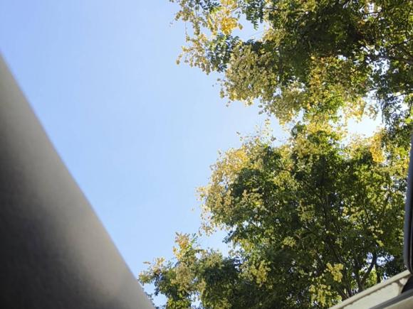 [台州·浙J] 二手丰田卡罗拉2021款 1.2T S-CVT精英PLUS版