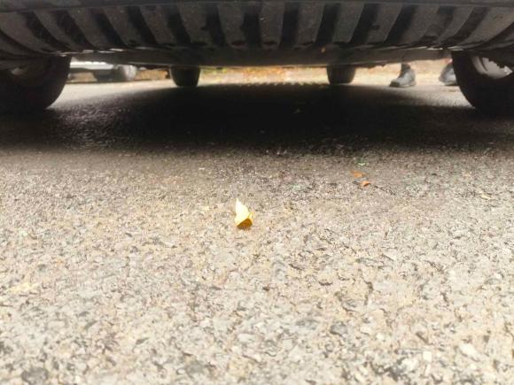 [上海·沪B] 二手奔驰奔驰C级2018款 C 180 L 时尚型运动版