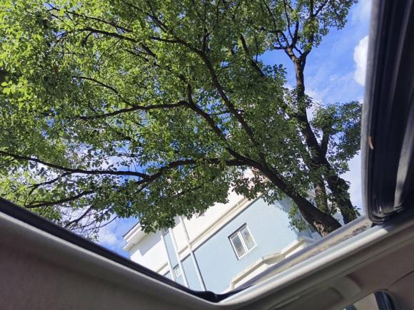 [上海·沪E] 二手丰田凯美瑞2009款 240V 至尊版