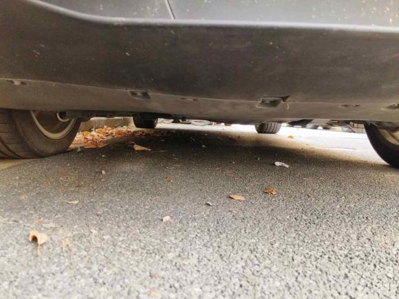 [上海·沪A] 二手特斯拉Model Y2022款 后轮驱动版