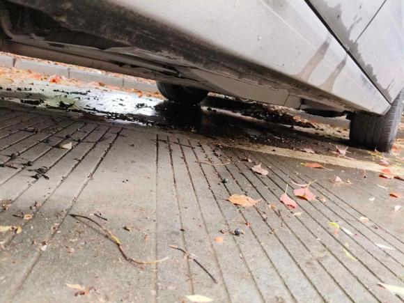 [嘉兴·浙F] 二手别克别克GL62018款 18T 6座尊贵型